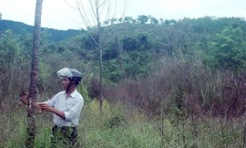 Nhiều đơn vị sai, dân dài cổ chờ đền bù