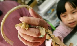 Chuyện lạ và 'quái' bốn phương