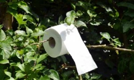 Giấy vệ sinh đắt nhất thế giới, giá một cuộn gần 30 tỷ đồng, phải giàu cỡ nào để xài?