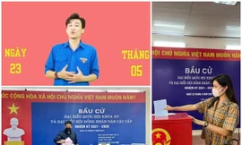 Nghệ sĩ Việt dậy sớm đi bầu cử với thông điệp 'Bầu cử trách nhiệm, chống dịch toàn diện'