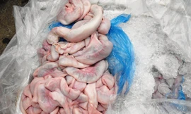 Xe khách chở 20 thùng lòng lợn 'thối' không rõ nguồn gốc