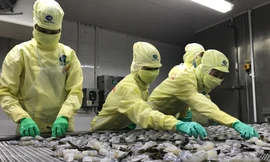 Xuất nhập khẩu năm 2021 vượt kỷ lục đạt gần 670 tỷ USD, đưa Việt Nam vào nhóm 20 nền kinh tế hàng đầu về thương mại quốc tế. 