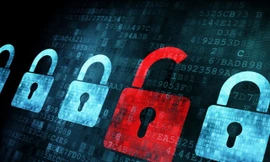 Tỷ lệ phần mềm không bản quyền được cài đặt trong máy tính cá nhân của Việt Nam là 74% với giá trị thương mại của phần mềm trái phép là 492 triệu USD 