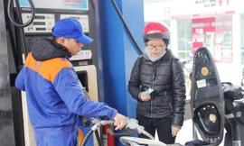 Các doanh nghiệp xăng dầu đầu mối được điều chỉnh mức chi sử dụng Quỹ Bình ổn giá xăng dầu với mức 523 đồng/lít xăng