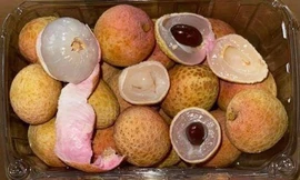 Vải thiều Việt Nam năm nay sẽ được bày bán trên toàn bộ 230 siêu thị của FairPrice