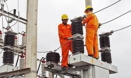 EVN muốn tính 10.000 tỷ đồng chênh lệch tỷ giá vào giá điện