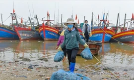 Theo Bộ Nông nghiệp và Phát triển nông thôn, số lượng tàu thuyền “nằm bờ” ngày càng nhiều, tình trạng ngừng ra khơi đánh bắt hải sản đã rất đáng báo động.