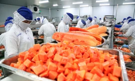 Nhiều mặt hàng xuất khẩu của Việt Nam sẽ có lợi thế nhưng cũng sẽ chịu cạnh tranh hơn khi vào EU