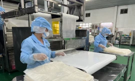 Tính toán lại chiến lược để tăng sức cạnh tranh cho hàng Việt