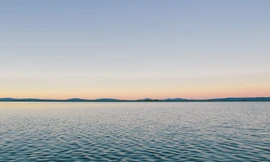 Ảnh minh họa: Internet