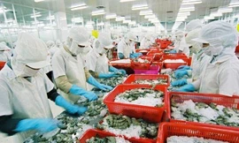 Bộ Công Thương gửi văn bản ‘nhắc’ VCCI đẩy nhanh tiến độ cấp mã số REX cho doanh nghiệp để gỡ khó cho hàng xuất khẩu sang EU