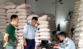 Hà Nội: Phát hiện loạt cơ sở kinh doanh gạo 'nhái' thương hiệu 