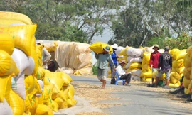 Hàng hóa xuất khẩu của Việt Nam đi EU sẽ bị ảnh hưởng trong thời gian tới khi Liên minh châu Âu đóng cửa biên giới