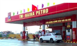 Công ty xăng dầu của nữ doanh nhân bị tước giấy phép 