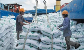 Theo Thứ trưởng Bộ Công Thương Trần Quốc Khánh, rủi ro thiếu gạo hoàn toàn có thể xảy ra nếu không kiểm soát được tốc độ xuất khẩu gạo.