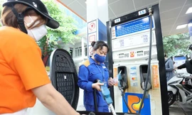 Thanh tra Chính phủ yêu cầu Bộ Công Thương báo cáo về Quỹ bình ổn, cấp phép kinh doanh xăng dầu. Ảnh: Như Ý