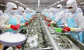 Liên minh Kinh tế Á – Âu đưa Việt Nam ra khỏi danh sách hưởng ưu đãi thuế 