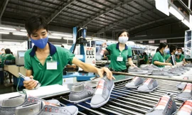 Mời hàng trăm doanh nghiệp da, giày ngoại đến Việt Nam tìm cơ hội hợp tác, chuyển giao công nghệ