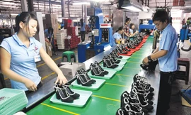 EU hiện là đối tác thương mại lớn thứ 3 và là một trong hai thị trường xuất khẩu lớn nhất của Việt Nam