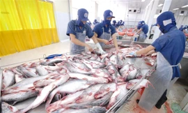 Việt Nam và Hoa Kỳ sẽ tăng cường cơ chế hợp tác hơn nữa giữa hai bên trong việc hợp tác chống gian lận xuất xứ hàng hóa