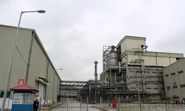 Dự án Nhà máy Xơ sợi Đình Vũ (PvTEx) đầu tư 7.000 tỷ đồng nhưng nay phải đắp chiếu vì thua lỗ