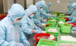 áo cáo ngày 15/1/2021 của Cơ quan Đại diện Thương mại Hoa Kỳ (USTR) hoàn toàn không đề cập, hoặc đề xuất việc Chính phủ Hoa Kỳ áp thuế hoặc sử dụng các biện pháp trừng phạt đối với hàng hóa xuất khẩu của Việt Nam