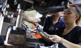 Bà Rịa Vũng Tàu muốn mở rộng đầu tư theo chiều sâu để phát triển công nghiệp hỗ trợ