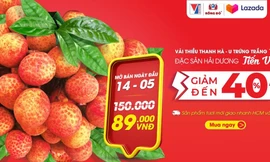 Vải thiều Thanh Hà được chính thức đưa lên giao dịch trên nền tảng thương mại điện tử từ 14/5