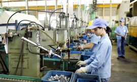 Sự thật sau phát ngôn của Chủ tịch VASI: Việt Nam chỉ làm được ốc vít cho biển số ô tô?