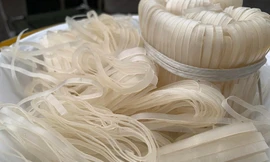 Phở, bún, bánh đa Việt Nam lại vào danh sách bị Ủy ban châu Âu theo dõi hàm lượng thuốc trừ sâu