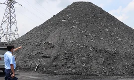 Trong số 21 bãi than bị lực lượng chức năng kiểm tra có những bãi rộng hàng chục ha