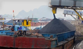 Thiếu 1 triệu tấn than để sản xuất điện