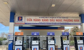 VCCI đề xuất giao quyền định giá bán cho doanh nghiệp để tránh các đứt gãy có thể xảy ra do việc điều hành chậm