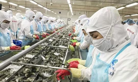 Từ hôm nay, 1/8/2020, hàng xuất khẩu của Việt Nam vào EU sẽ thuận lợi hơn