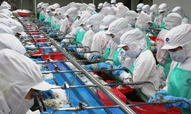 Theo Bộ Công Thương, xuất khẩu của Việt Nam sẽ tăng mạnh sau khi EVFTA được thực thi