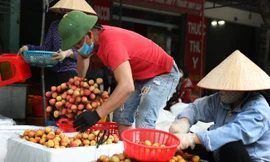 Bộ Công Thương yêu cầu tạo thuận lợi tối đa khi cấp C/O cho nông sản xuất khẩu