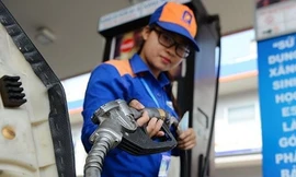 Các doanh nghiệp xăng dầu đầu mối được sử dụng Quỹ bình ổn xăng dầu để không tăng giá vì thuế bảo vệ môi trường vào ngày 1/1/2019