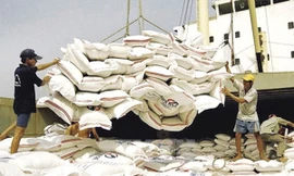 Nghị định mới về xuất khẩu gạo đã bỏ nhiều quy định, cởi trói cho xuất khẩu gạo