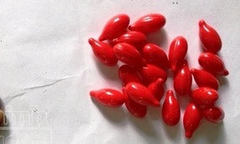 Phát vitamin A, cán bộ xã đưa nhầm hạt đậu giống