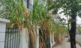 Khung cảnh hoang lạnh của hàng trăm biệt thự trên ‘đất vàng’ ở TP Hoà Bình