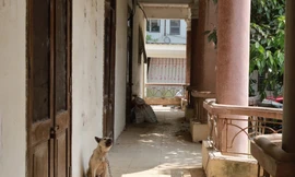 Xót xa công sở trên đất 'vàng' ở TP. Hòa Bình bị bỏ hoang nhiều năm