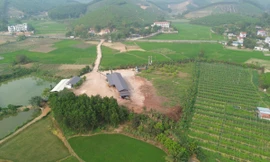 Xưởng chế biến gỗ khủng xây dựng trái phép trên đất nông nghiệp cách UBND xã 300m