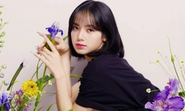 Lisa (BLACKPINK) có thể gặp bất lợi gì khi chính thức debut solo vào tháng 6 tới?