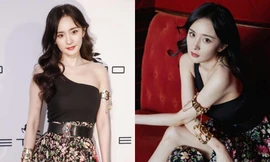 Dương Mịch xinh đẹp tựa nữ thần trong sự kiện nhưng trang phục lại có phần lạc lõng