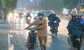 TPHCM có thể lạnh dưới 20 độ