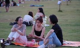 Hàng nghìn người đổ về cánh đồng diều 'xin một vé về tuổi thơ' dịp nghỉ lễ