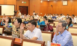 Cơ cấu lãnh đạo, tổ chức bộ máy Sở An toàn thực phẩm TPHCM ra sao?