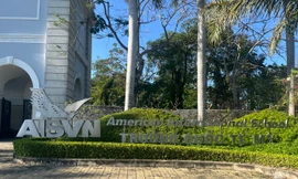 Chủ trường quốc tế kêu gọi phụ huynh góp thêm 125 tỷ để duy trì trường