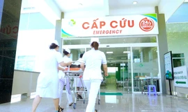 Ảnh minh họa: Internet