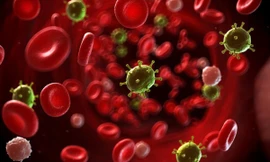 Ảnh minh họa: Internet